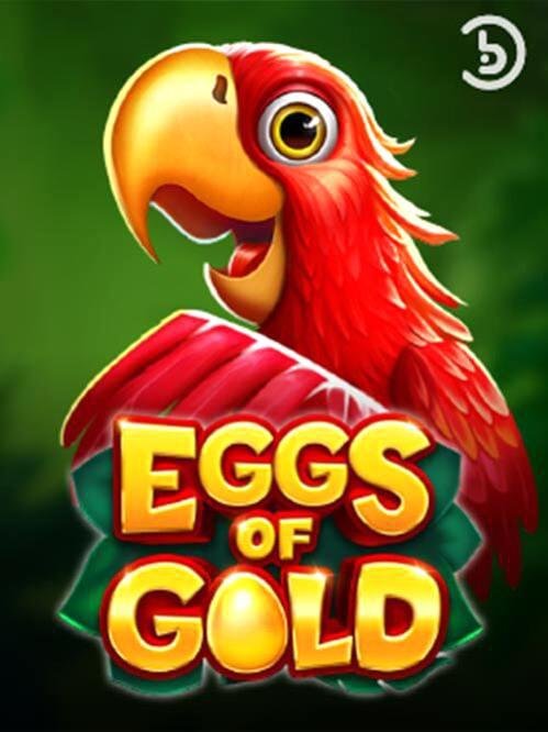 Jogo de dardos profissional